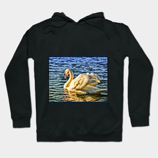 Swan wading on water in sunshine Hoodie